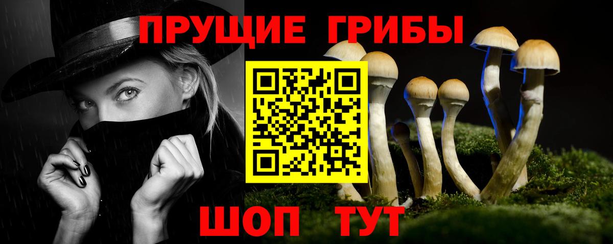 Галлюциногенные грибы Psilocybe  закладки  Ялта  Вход с VPN 